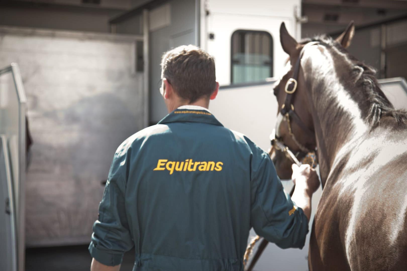 Racehorses 2