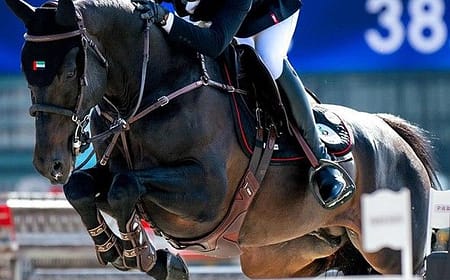 Showjumping