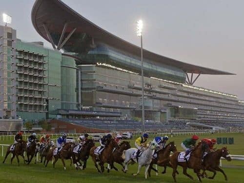 Horse Racing