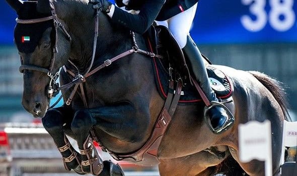 Showjumping