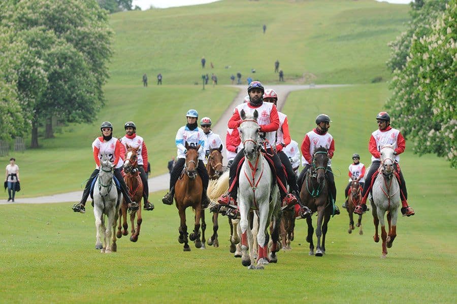 Endurance_RWHS_PN17_49250