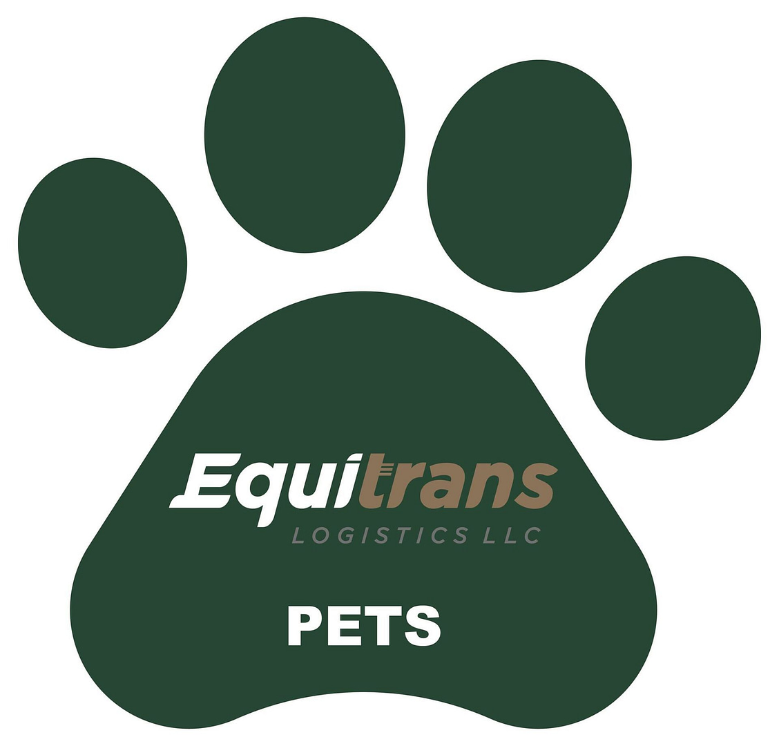 305044419_515986247194822_6775334498825290069_n