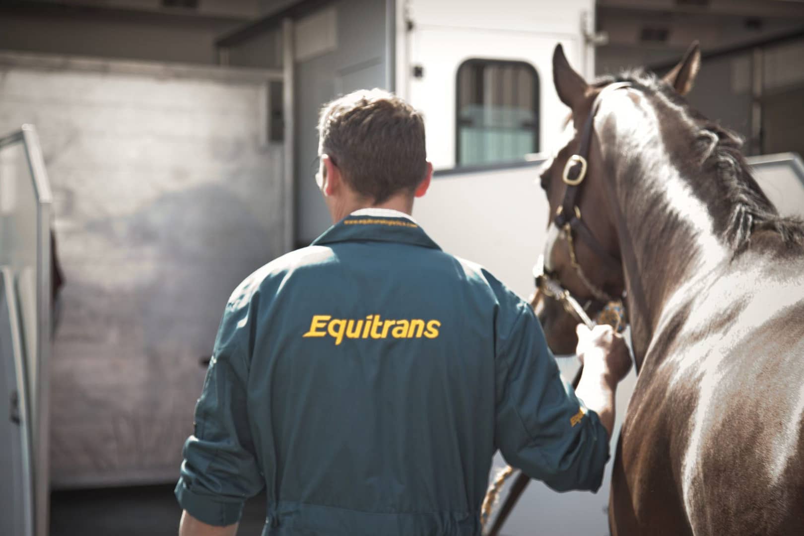 Racehorses 2