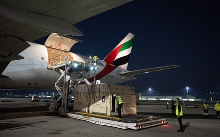 Horse Cargo