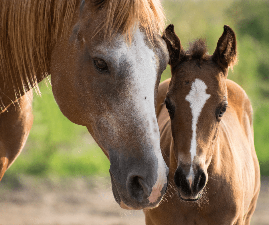 Untitled design (10)